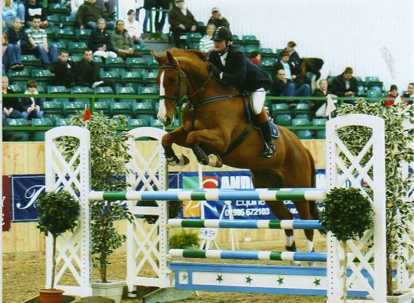 Oscars Way - Showjumping Horse